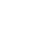 icons8-online-meeting-100